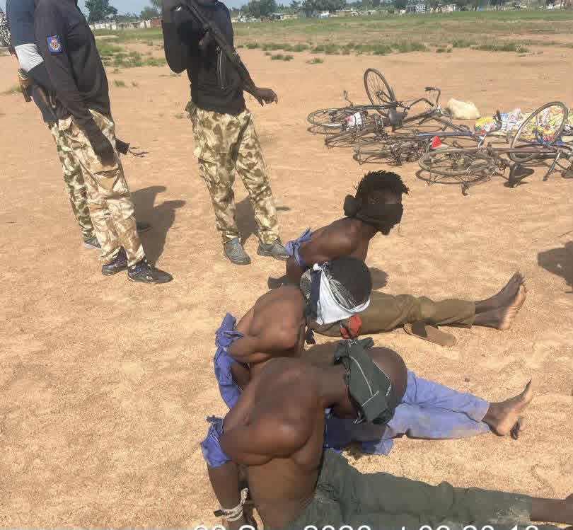 11 terrorists surrender, four arrested in Yobe