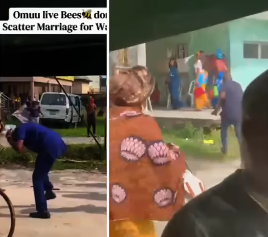 Guests run for their lives after bees invade wedding reception in Delta