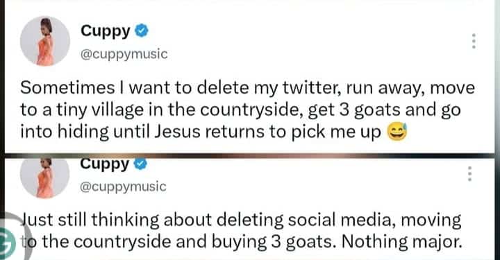 “I am still thinking of deleting social media, moving to the countryside and buying 3 goats” – DJ Cuppy reveals