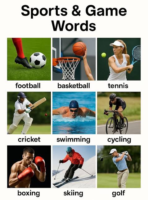 20177617_images63_jpeg72930de8be4c3f51195cf9a967ed89c8