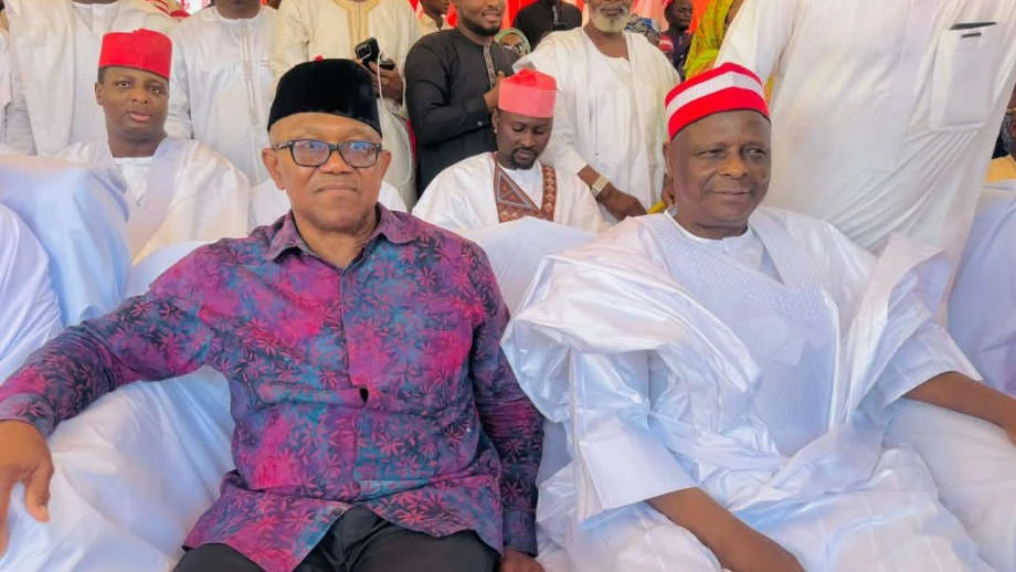 2027: NDC chairmen reject Obi-Kwankwaso structures
