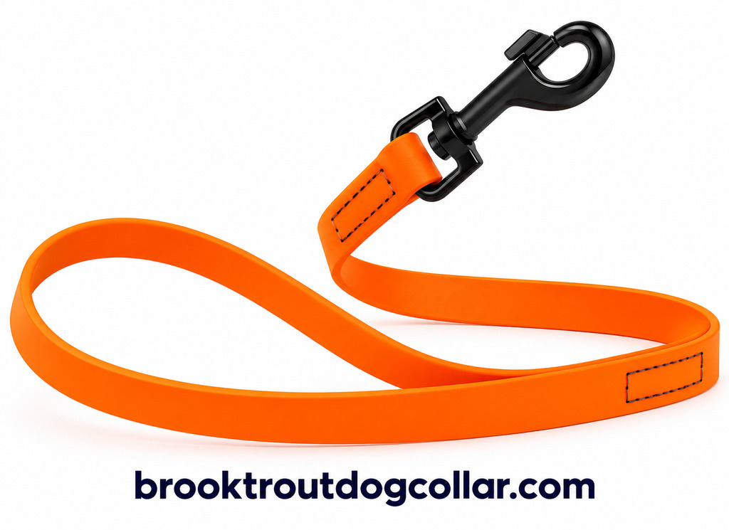 I Tested The Dogline Biothane Waterproof Dog Leash — Here’s What I Discovered