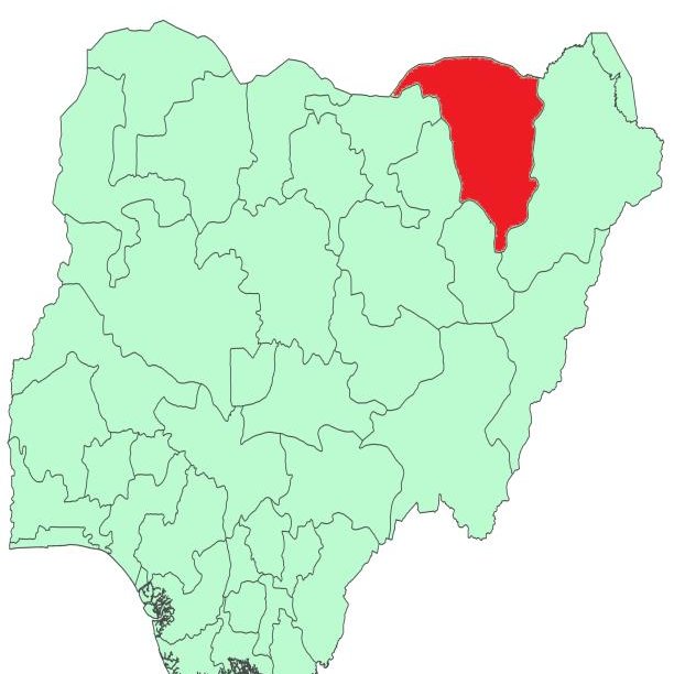 APC Wins All 17 LG Chair Seats In Yobe Elections