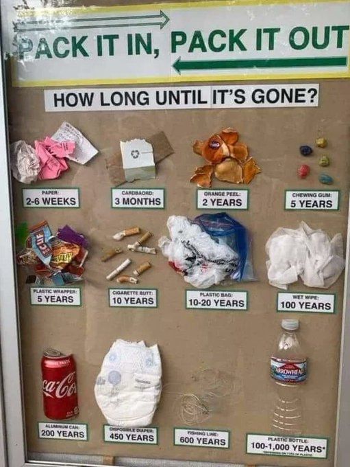 This Is How Long It Take For These Materials To Biodegrade