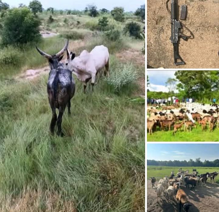 Security operatives k!ll 18 suspected bandits in Katsina