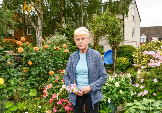 Neighbour convicted of flashing after tormenting OAP for 11 years