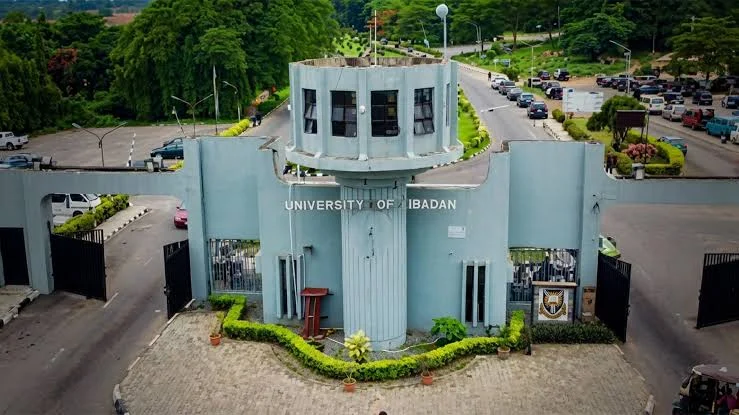 20156950_universityofibadan1782968259_webp6aba11864536bbbee5055b889660809e