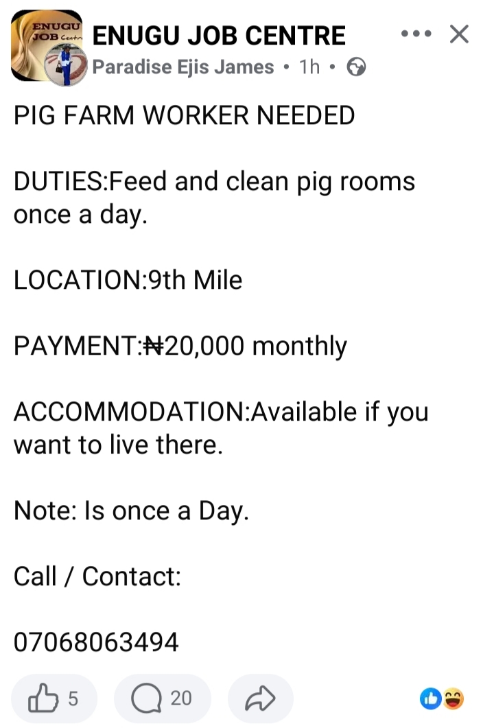 20k Monthly Salary: Farm Owner Receives Backlash From Nigerians (Pics)