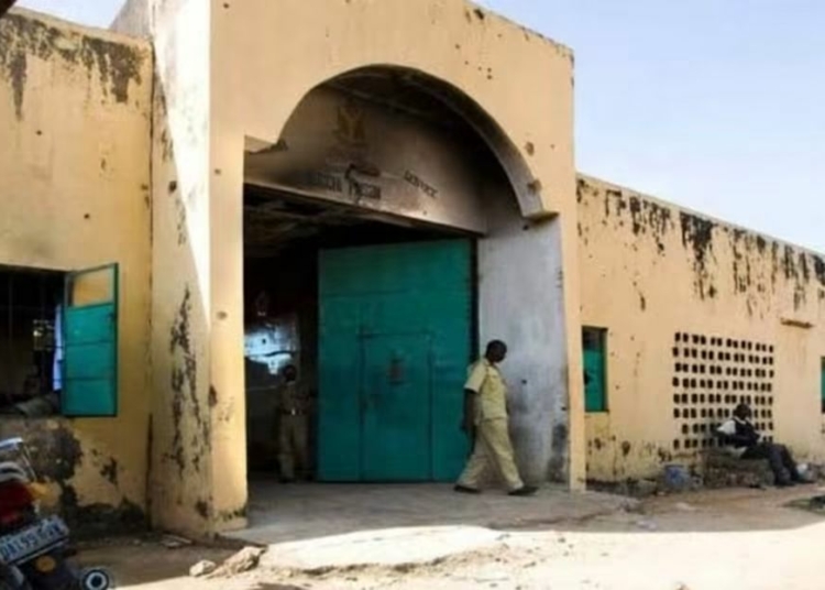 Kano Prison Cholera Outbreak : NCoS Confirms Two Deaths, Says Crisis Contained