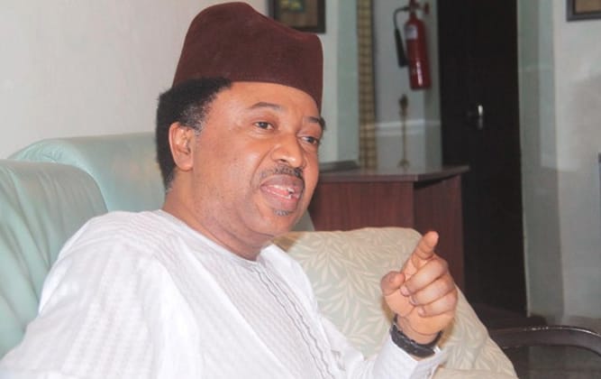 INEC List: Don’t Waste Your Money In Court, Shehu Sani Tells Affected Candidates