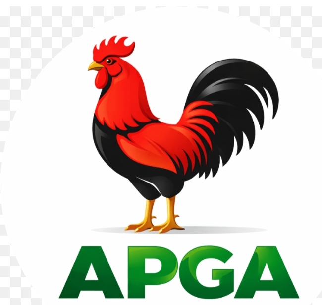 APGA Backs Soludo’s Appointment As Tinubu’s Campaign Coordinator