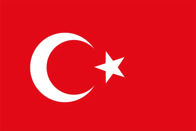 Pupil injures eight girls in Istanbul school attack