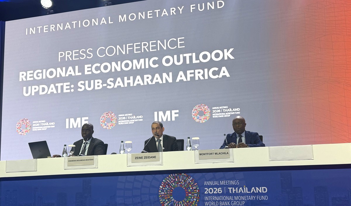 CBN’s interest rate reset is the “right thing” to do — IMF’s Zeine Ould Zeidane