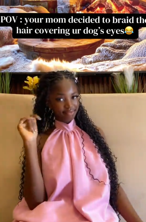 Lady shares how her mum braided her dog’s hair to keep it out of its eyes (VIDEO)