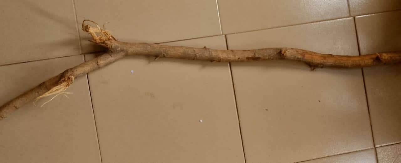 Man allegedly k!lls his 80-year-old father in Katsina