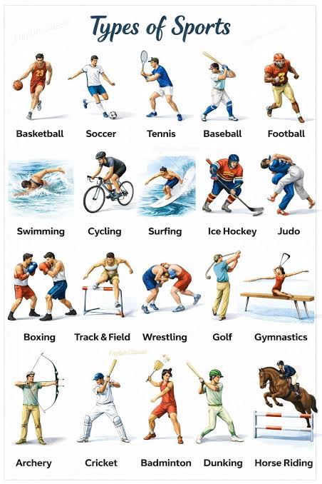Which Is The Most Popular Sports In The World?