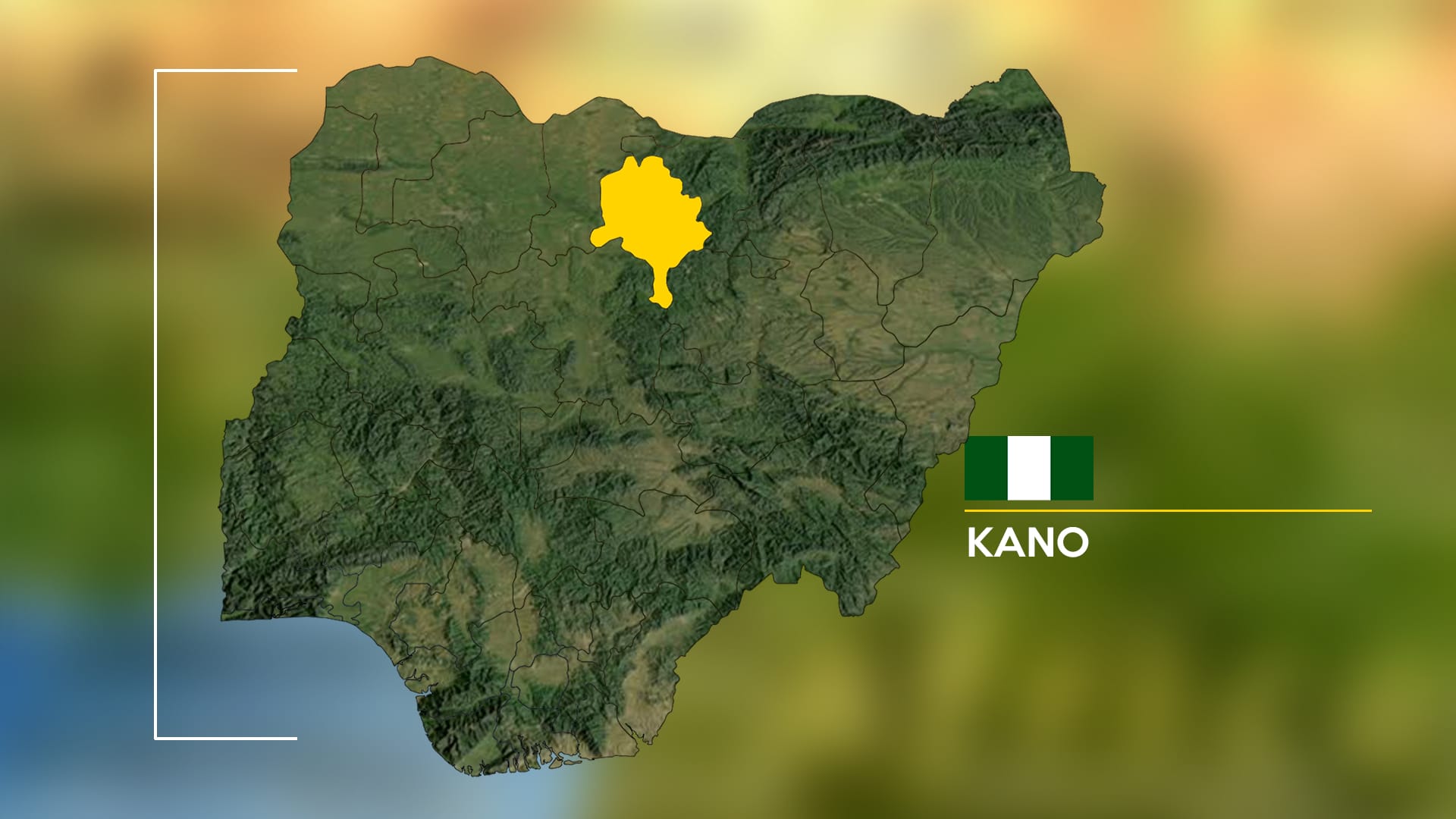 Rabid dog attacks 18 in Kano Community
