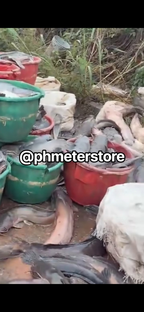 20100825_screenshot20260824152829youtube_jpegec06f2f68cbae4893cbfb9f2e92e896f