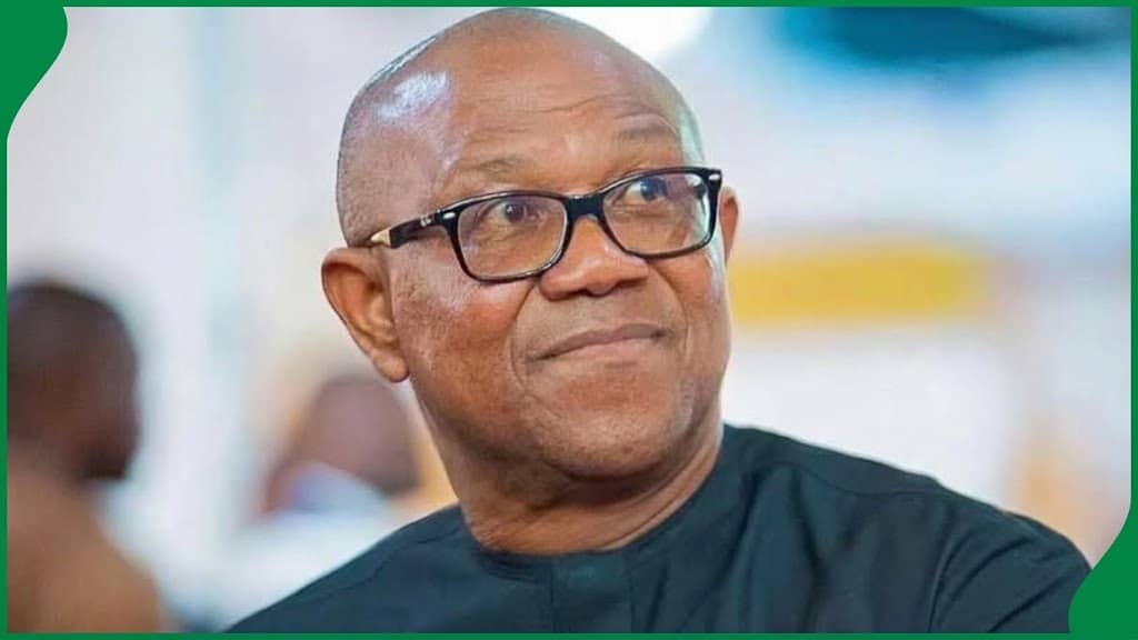 When Anarchy Comes, It Consumes Everybody – Peter Obi Reacts To Attack On NDC Supporters