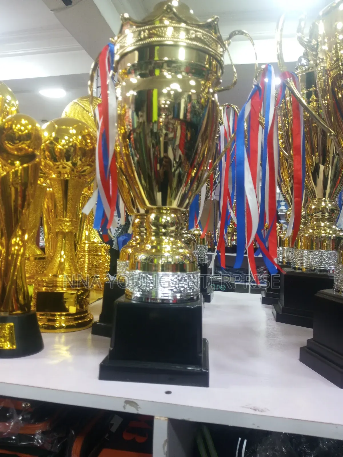 Trophy Award Cup