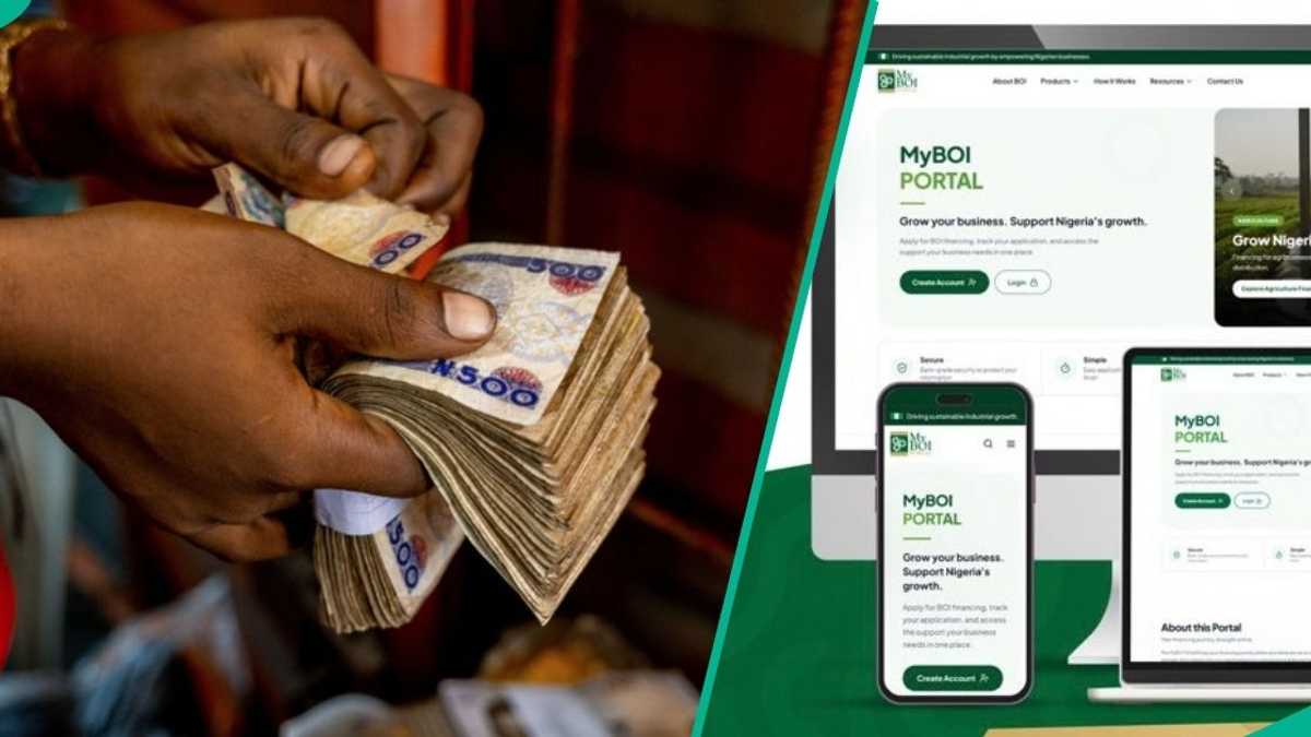 Find out more as BOI launches digital portal to simplify access to loans