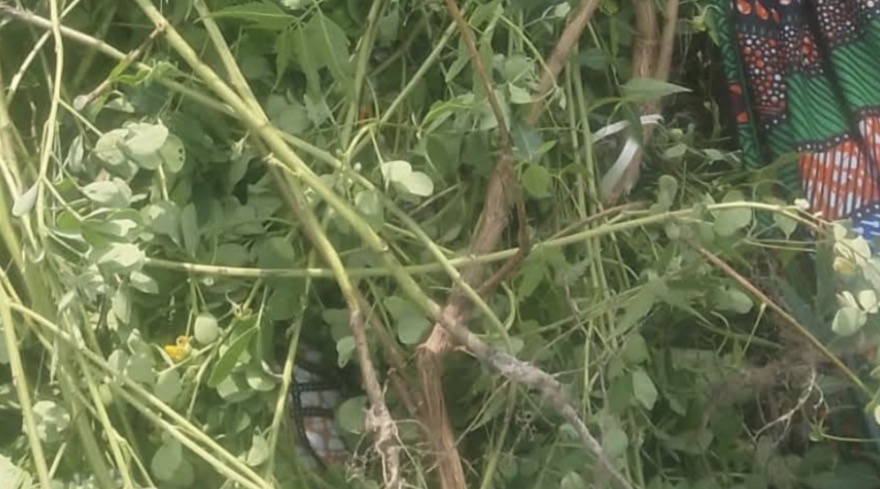 Four children d!e as boat capsizes in Jigawa
