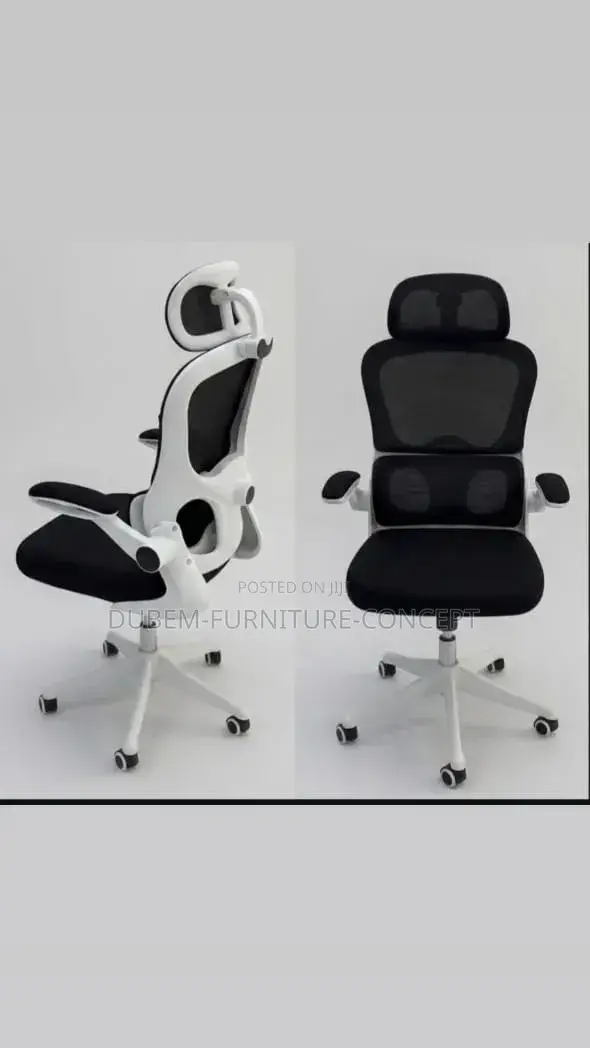 Quality Ergonomic Chair With Lumbar Support