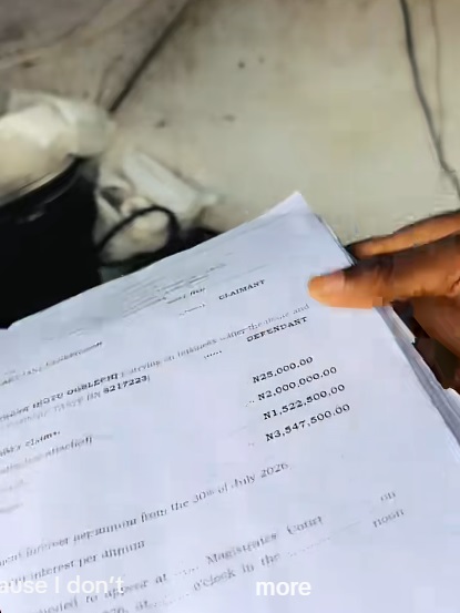 Food vendor raises alarm after she got sued ₦3.5M over a customer’s ₦25,000 unverified transfer