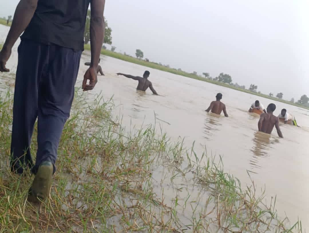 14-year-old boy drowns, another missing in Yobe River