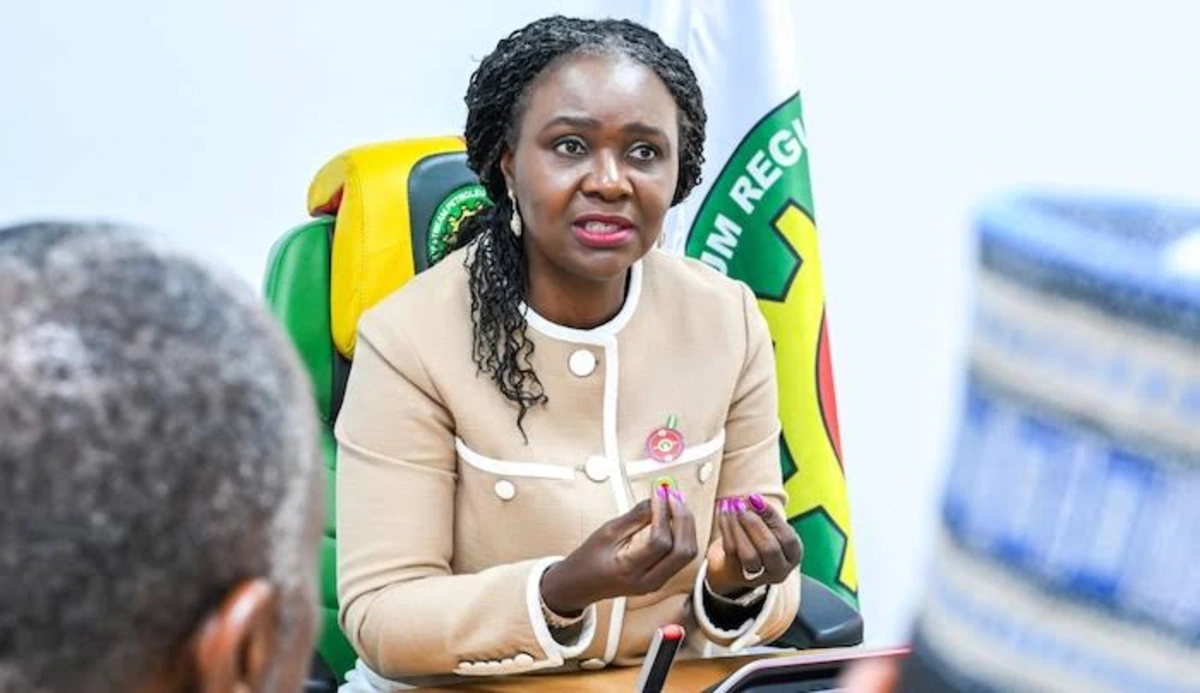 FG opens 2026 oil licensing round, offers 40 blocks to investors