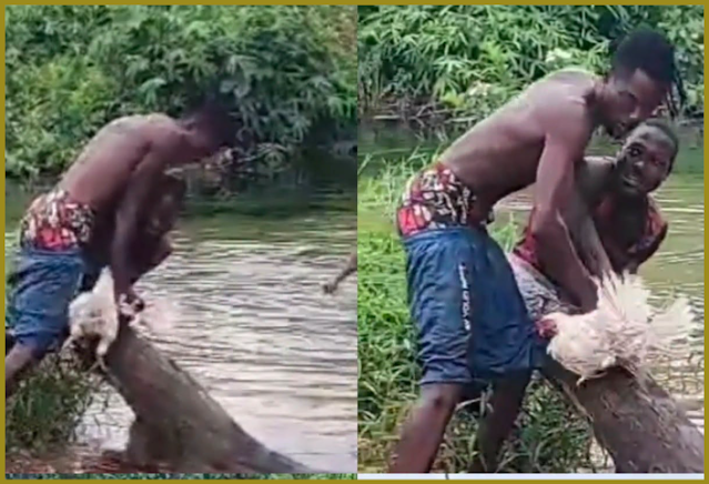 Man Drags Live Chicken With Native Doctor During River Sacrifice