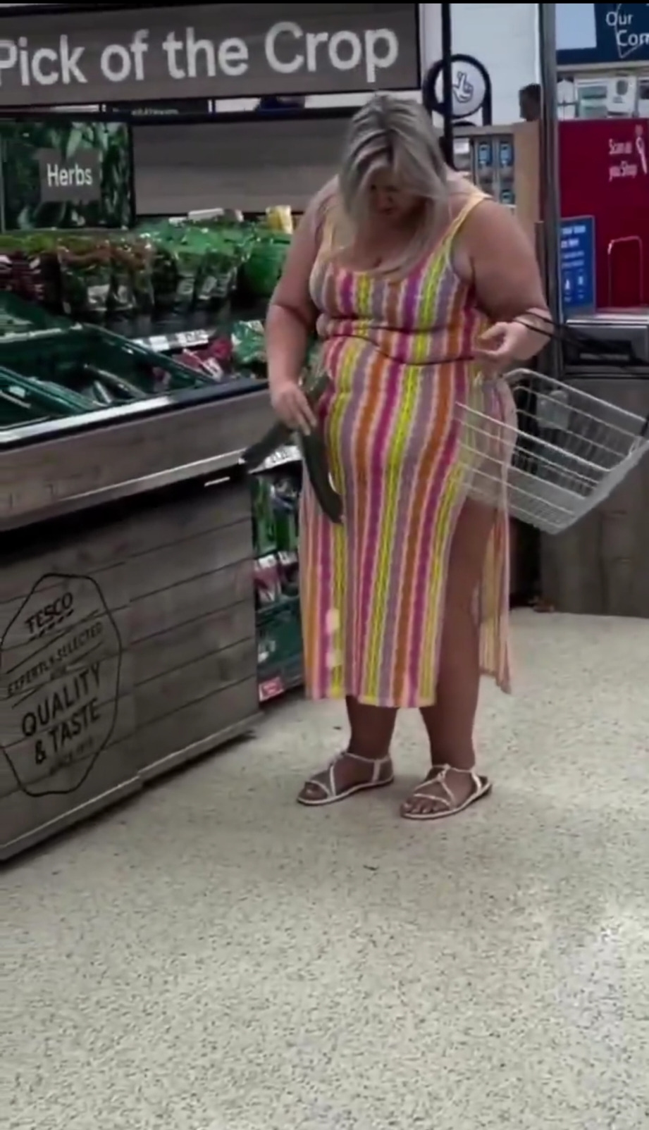 Woman Carefully Sizing Up Cucumbers In Supermarket In Trending Video