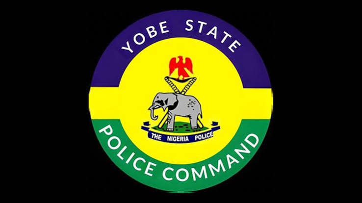 Nine-year-old burns his stepmothers and younger brothers to de@th in Yobe