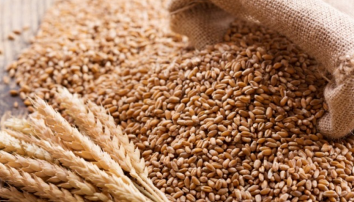 Nigeria’s wheat production rises to 420,000 tonnes under NAGS-AP