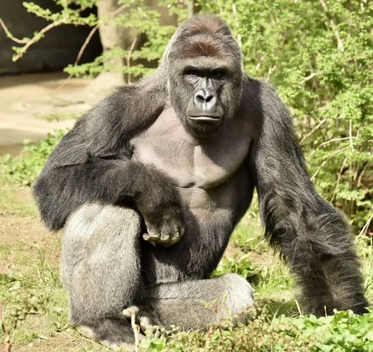 8a8199e077f43b0d_3.webp