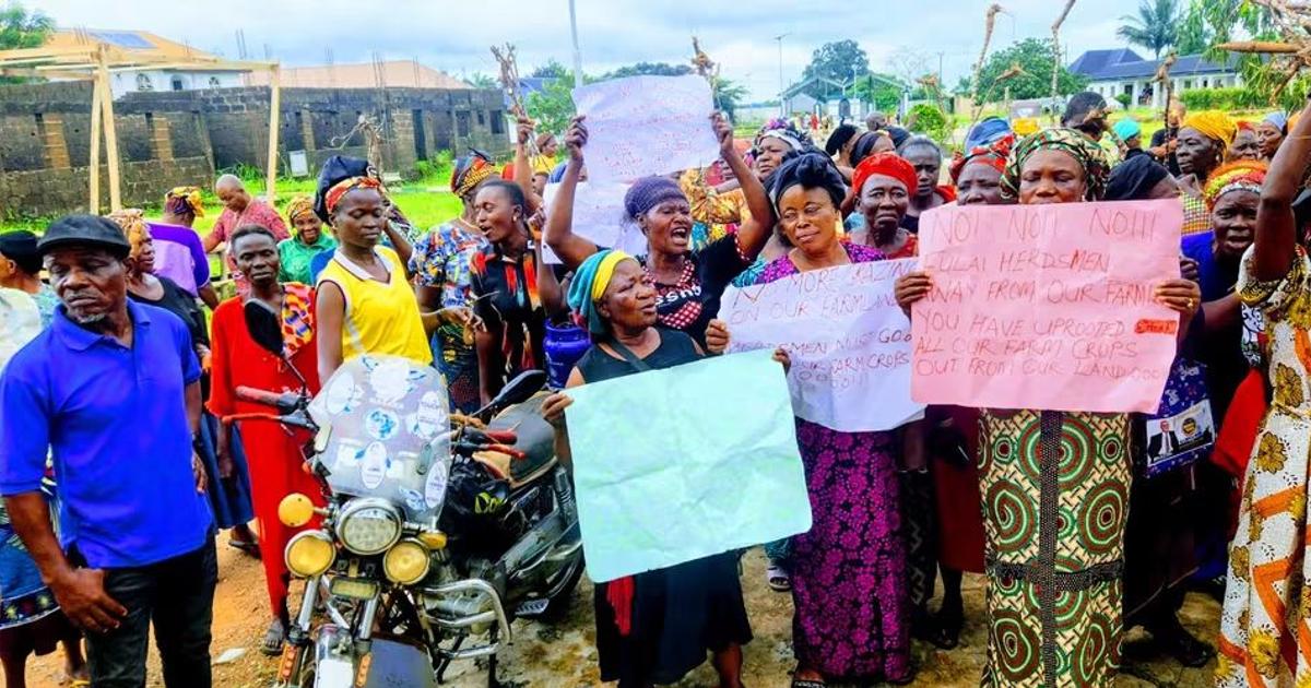 Women storm council secretariat as herdsmen allegedly uproot their cassava to feed cattle