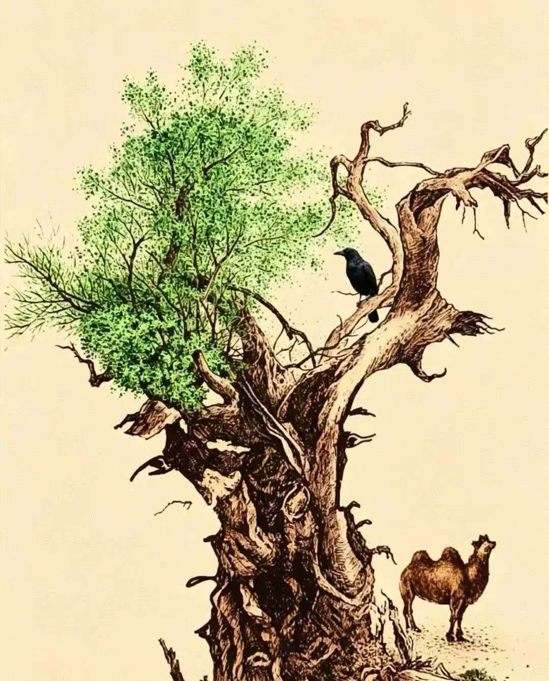 Who Can Quickly Find All The Hidden Faces In The Picture?