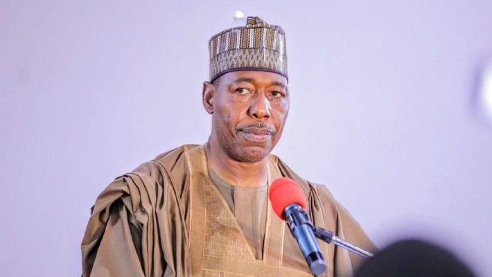 Gov. Zulum urges Tinubu govt to resume oil exploration in Borno