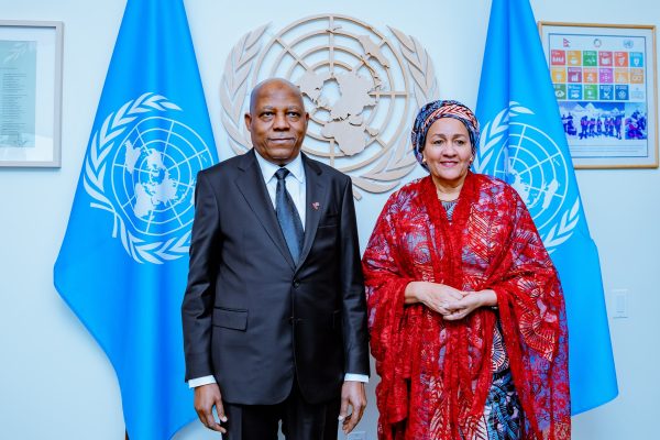 Africa’s UN Security Council Exclusion Undermines Fairness- VP Shettima