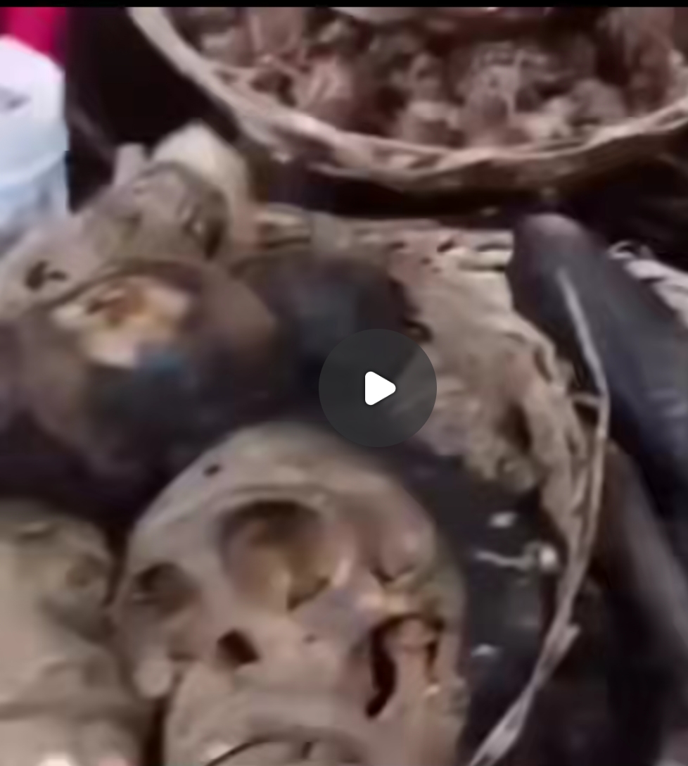 Drama As Awka Women Confront Trader Over Sale Of Monkey Meat At Eke Awka Market