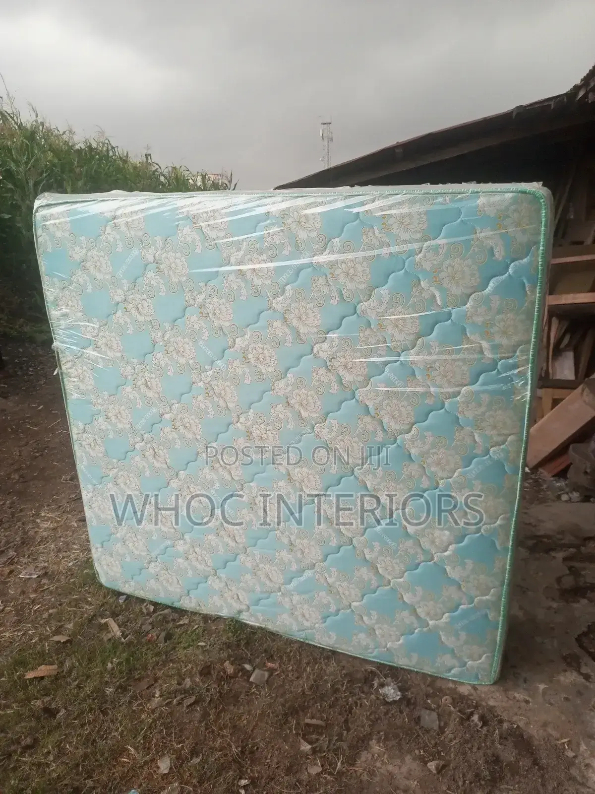 6 X 6 X 18 Inches Green Earth Semi 0rthopedic Mattress