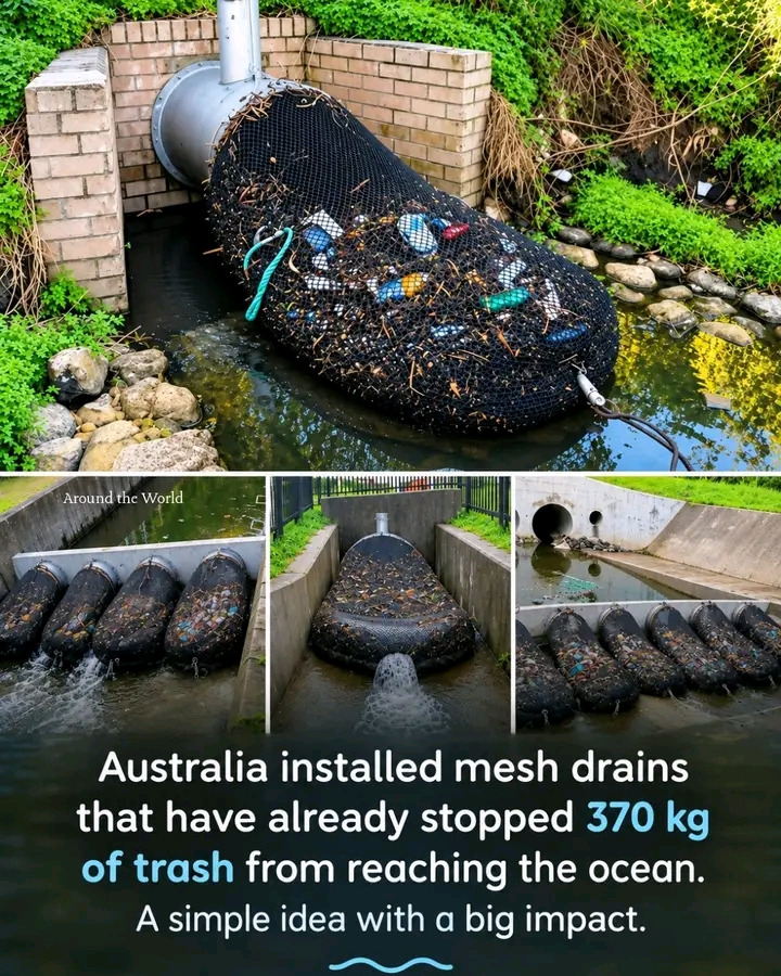 Australia Installed Mesh Drain Stops 370kg Of Trash From Reaching The Ocean.