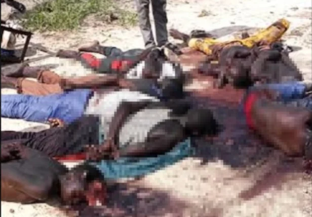 Boko Haram Kills 15 Farmers In Borno