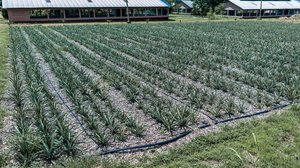 20124385_hrum3hzagaaa1i1_jpegde33fb5148a25d0177ec0c0e6e648919