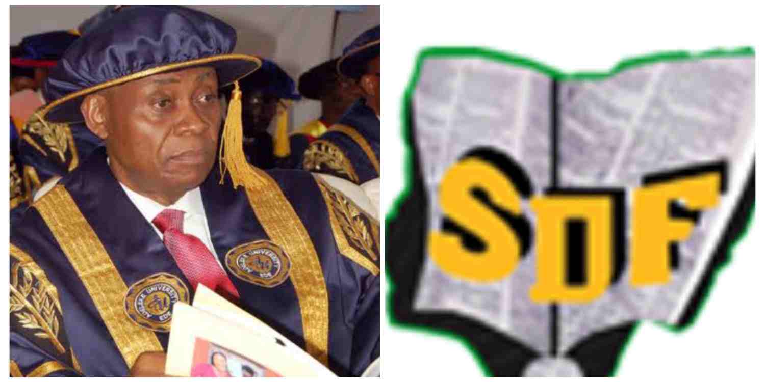 SDF Scholarship 2026: Adeleke University Releases 6 Requirements for Applicants