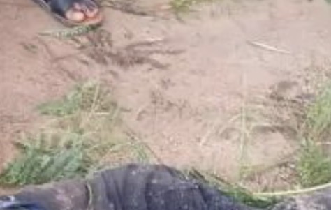 Suspected Fulani militias k!ll 32-year-old man in Plateau