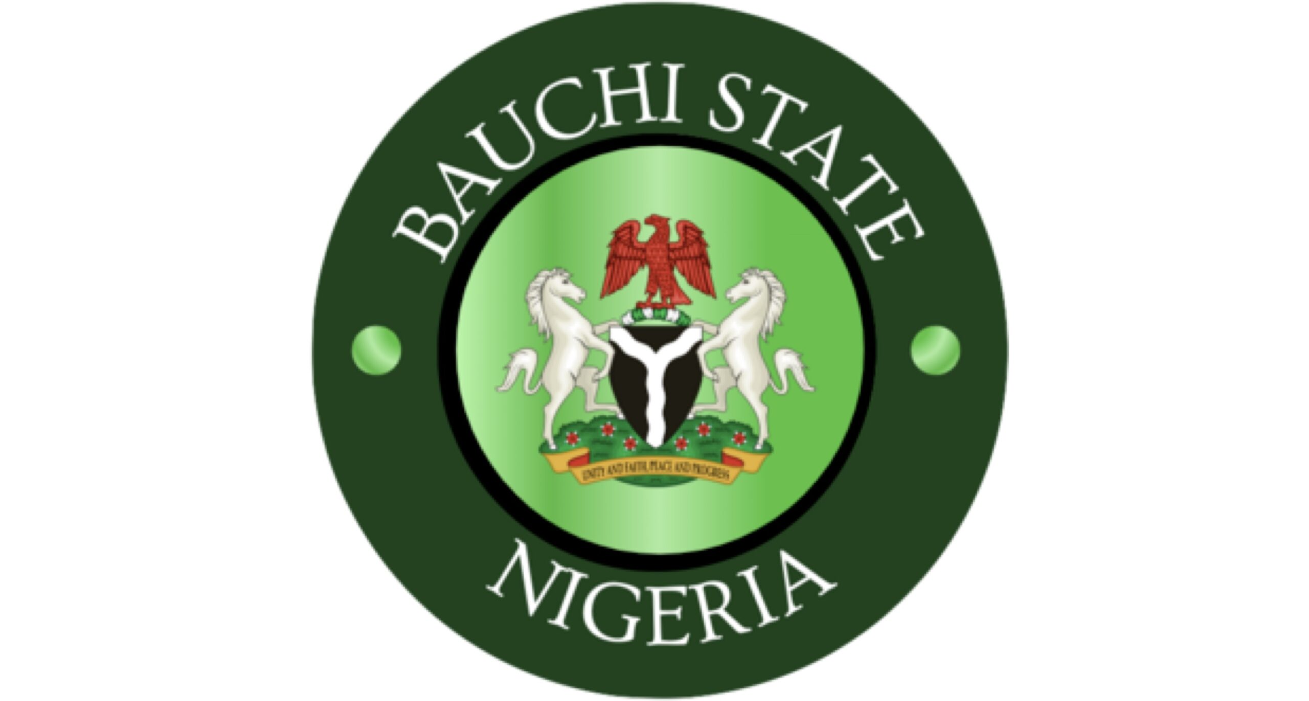 Bauchi adopts digital technology to transform tourism industry