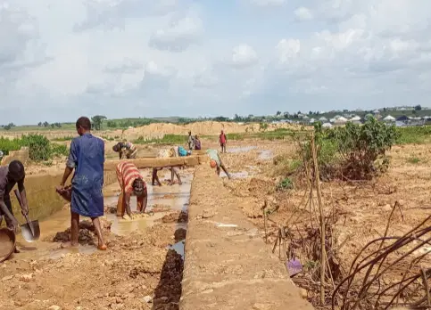 We are ready to die here - Illegal Miners
