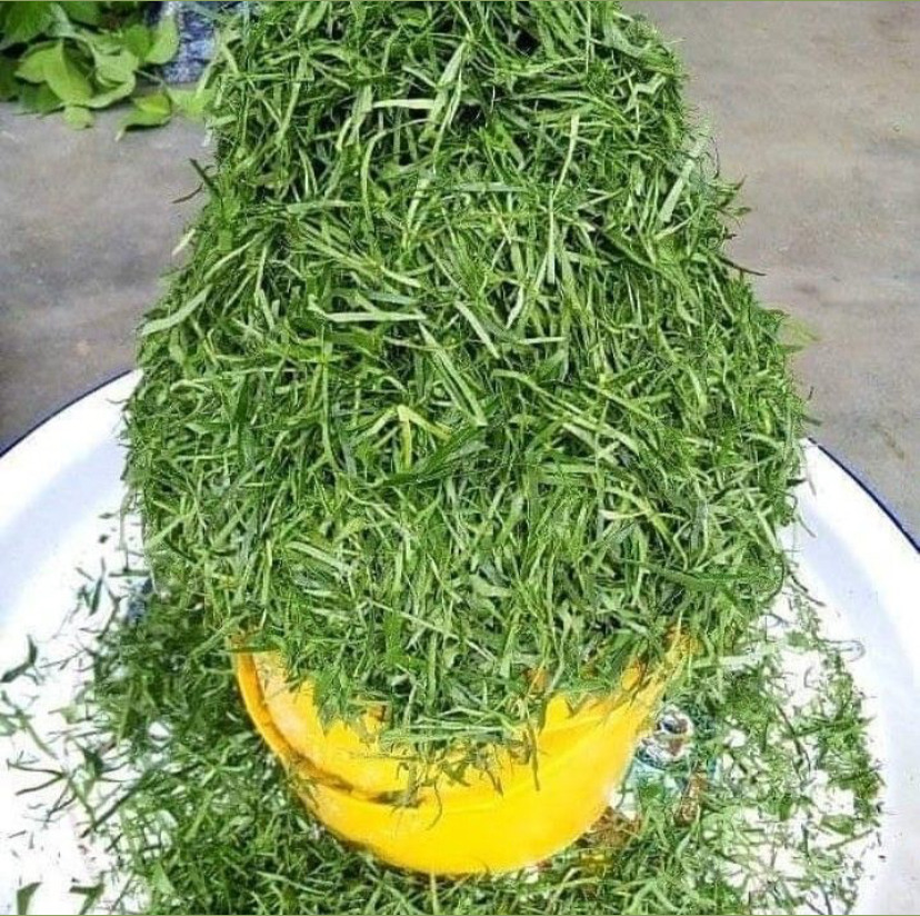 Okazi (or Afang) Leaves In Kenya.