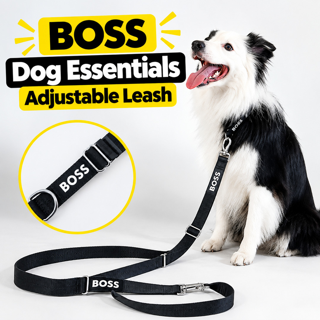 BOSS Dog Essentials Adjustable Leash: 7 Things You Should Know Before Buying